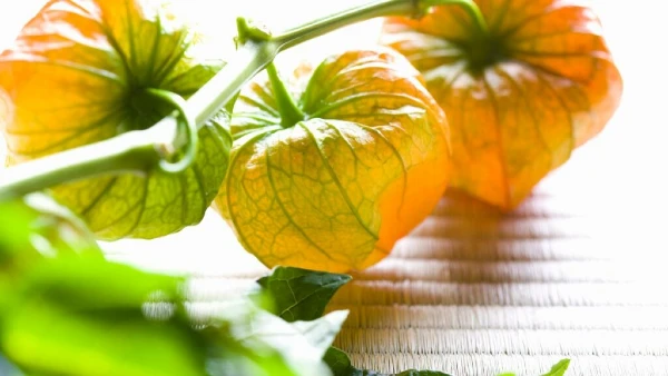 4 Myths About Nightshade Vegetables