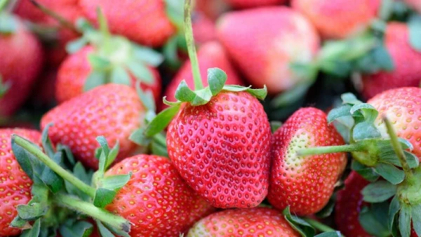 strawberries